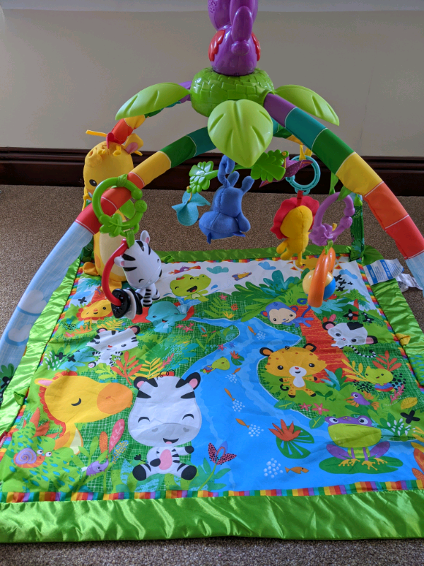 rainforest jungle gym